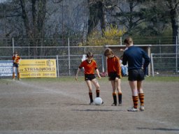 0DIA 1984 RAVA PUPS 1